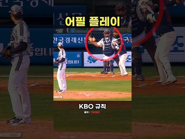 야구의 특이한 규칙 중 하나 #야구 #프로야구