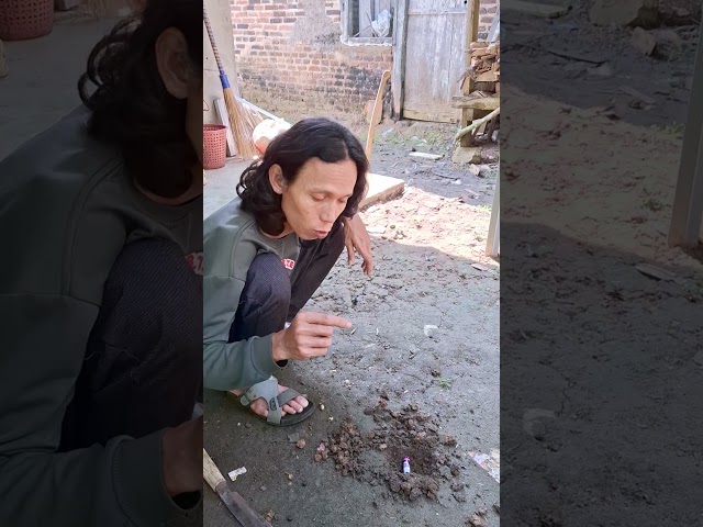 apa iya petasan dikubur bisa jadi banyak #comedy