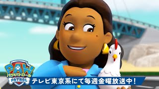 動画サムネイル