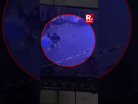 Chilling Video Shows Driver Ramming New Year's Revellers in New Orleans, 15 Killed