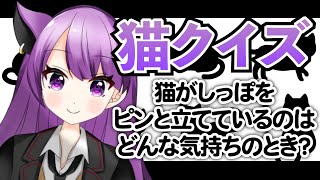 【クイズ】猫系 Vtuber なら猫のことは何でも分かるわ！【雑学】