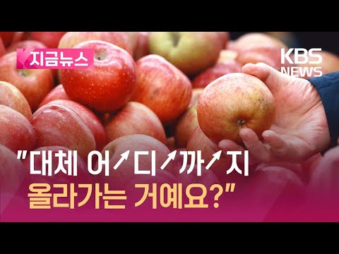 “이제 사과 먹으면 부자야?”…사과 10kg 도매가격이 무려 [지금뉴스] / KBS 2024.03.13.