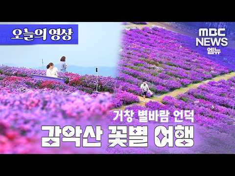 [오늘의 영상] 거창 별바람 언덕 - 감악산 꽃별 여행 (~10.10)