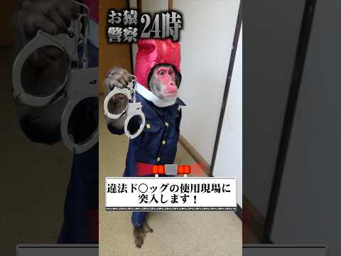 違法ド○ッグを使用する飼い主を見たお猿さん… #monkey
