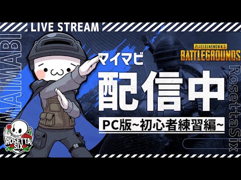 【PUBG】初心者でPC版を練習します【新人Vtuber】