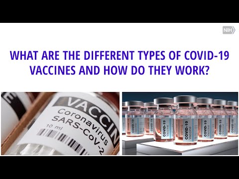 What Are The Different Types Of COVID Vaccines And How Do They Work?
