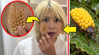 動画サムネイル