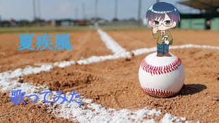 【眼鏡が歌う】夏疾風/嵐(Arashi)歌ってみた【Vtuber】