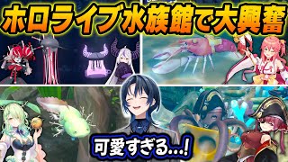 とあるホロメンが作った水族館に住む、ユニークなホロメンモチーフの生き物たちに驚きと興奮が止まらない青くんw【ホロライブ/火威青/切り抜き】