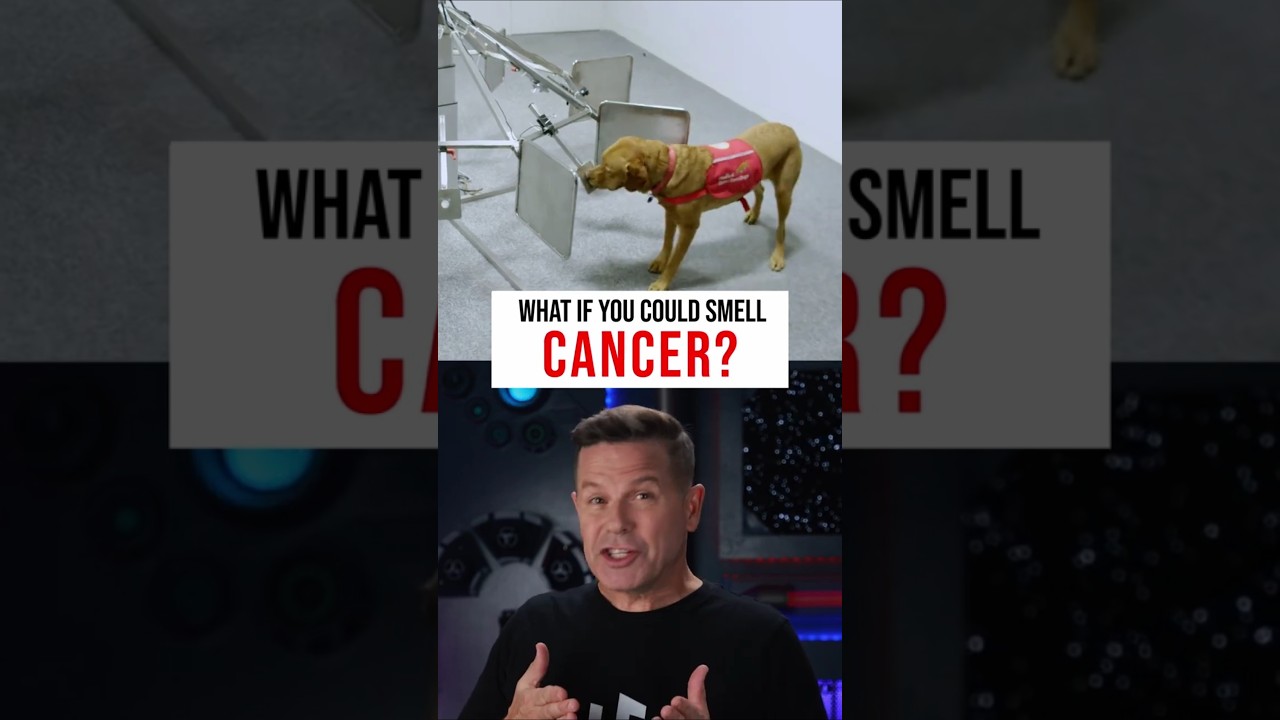 What If You Could Smell Cancer? #Medicine #Science #Shorts