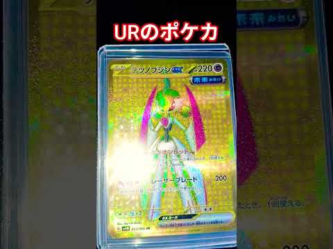 ホビーの動画サムネイル - URのポケカ #ポケカ #ポケカ再販最新情報 #ポケモンカード #おれポケ #チャンネル登録お願いします #ポケモン #ゆっくり解説 #ポケットモンスター #shots #バズれ