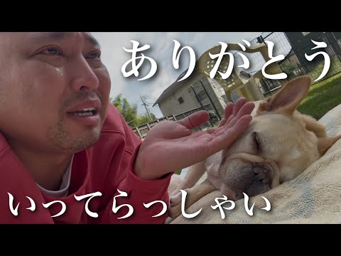 息を引き取る愛犬に感謝を伝えられる幸せ