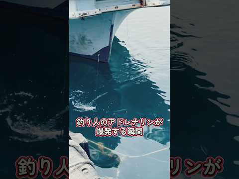 釣り人のアドレナリンがMAXになる瞬間! #釣り #fishing #海釣り #カツオ