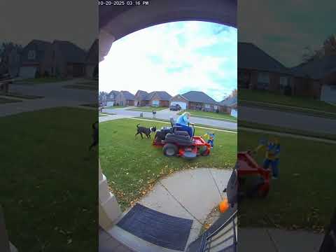 Neighbor runs over kid with lawnmower #doorbell #funny