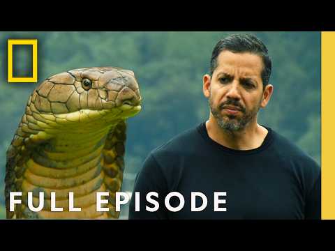 What’s Freakier than Venom & Illusion? David Blaine Investigates! | FULL EPISODE | Nat Geo