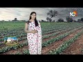 ప్రకృతి సాగువైపు రైతుల చూపు | Natural Farming | Matti Manishi | 10TV  - 09:08 min - News - Video