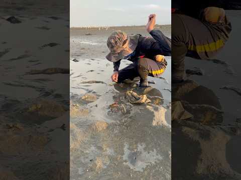 May kakaibang bagay na gumagalaw sa ilalim ng plastic #trending #fishing #viralvideo #shorts#amazing