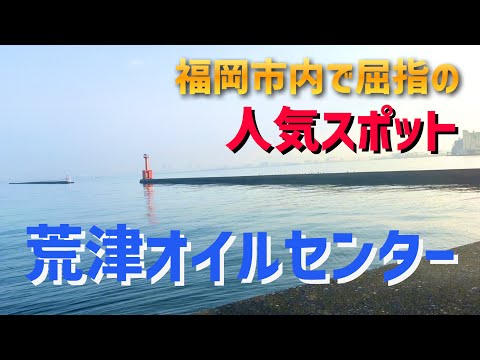 【福岡市で屈指の釣り人気スポット‼︎】荒津オイルセンターの沖堤防側の海中を探索してきたよ！#254福岡釣部 in 福岡・糸島・北九州・長崎・平戸・佐賀・唐津・呼子・生月島・鷹島・広島・岡山
