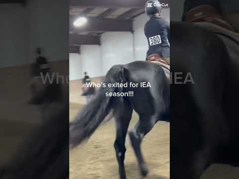 The new season is here!!! #equestrianjourney #IEA#horseriding #pony #horsegirl #horsegirl