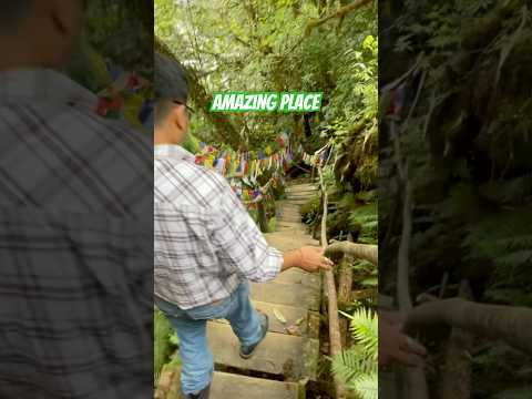 Amazing place #nature #traveler #mechuka #luckystone #youtubeshorts