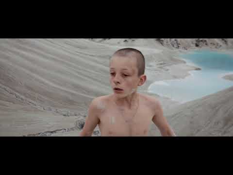 Fauve'