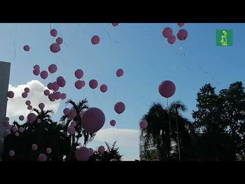 Diputados cierran jornada de prevención de Cáncer de Mama lanzando globos color rosa al cielo