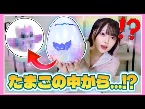 『フシギなたまご』をお世話したら〇〇が生まれた…！？【うまれてウーモ！アライブ】【たまちゃん】