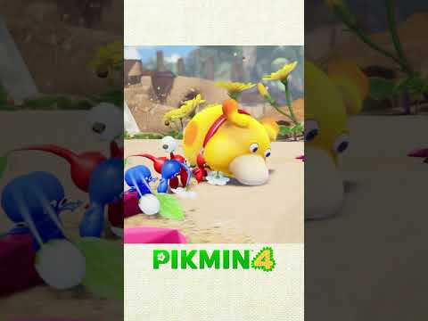 Pikmin 4 – Summer vibes (Nintendo Switch)