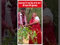 Rajasthan: राजस्थान में एक पेड़ मां के नाम की पहल की शुरूआत | ABP Shorts - 00:34 min - News - Video