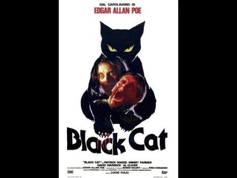 Black Cat'