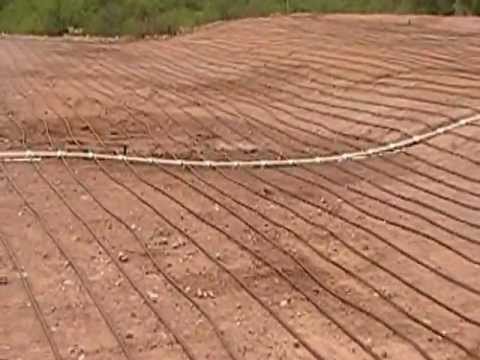 Subsurface Drip Irrigation for Lawns - YouTube