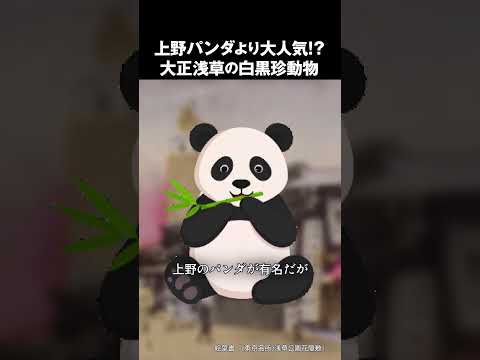 上野のパンダより人気！？大正浅草の白黒珍動物 #ハイパー江戸博 #大正浪漫  #ペンギン #浅草 #花やしき