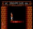 Dragons Lair 3:58.68