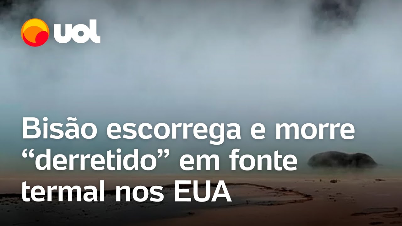 Bisão escorrega e morre derretido em fonte termal de até 89ºC nos EUA