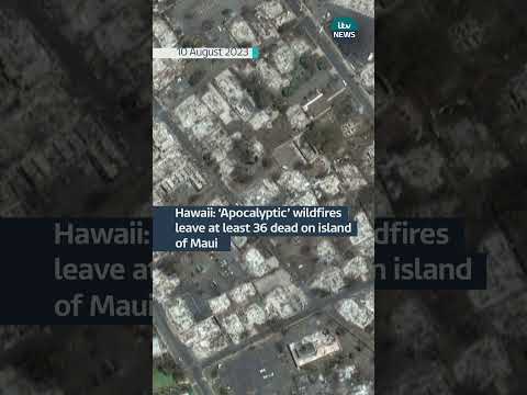 Wildfires destroy Hawaiian island of Maui #itvnews #wildfire #hawaii