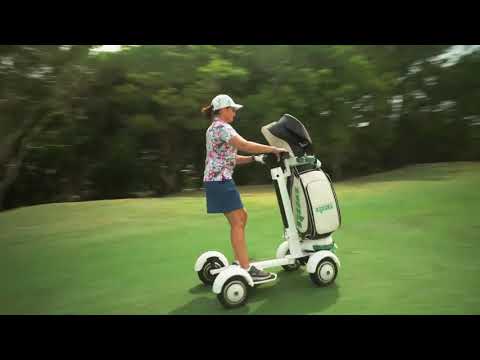How to find an electric golf cart for your golf course?