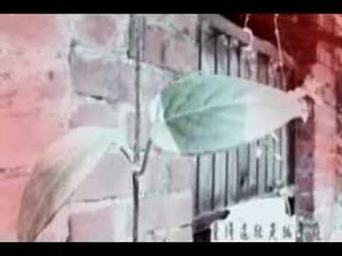 張懸 信任的樣子