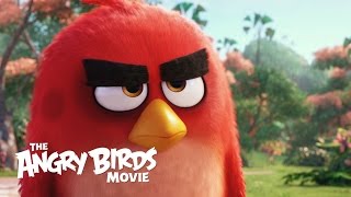 THE ANGRY BIRDS MOVIE - Official