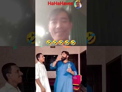 nothing to say but laugh