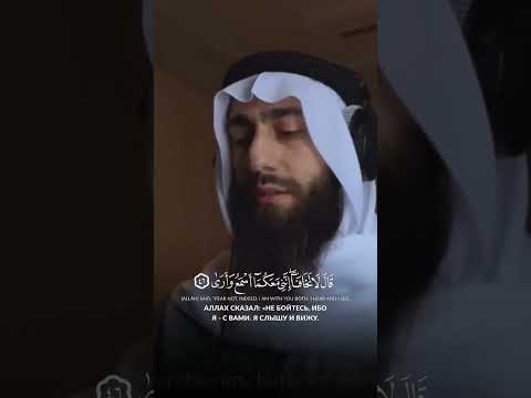 قال لا تخافا 🥹❤️  أية الإطمئنان 🌹 من سورة طه  القارئ محمد ديبيروف   القارئ محمد ديبيروف