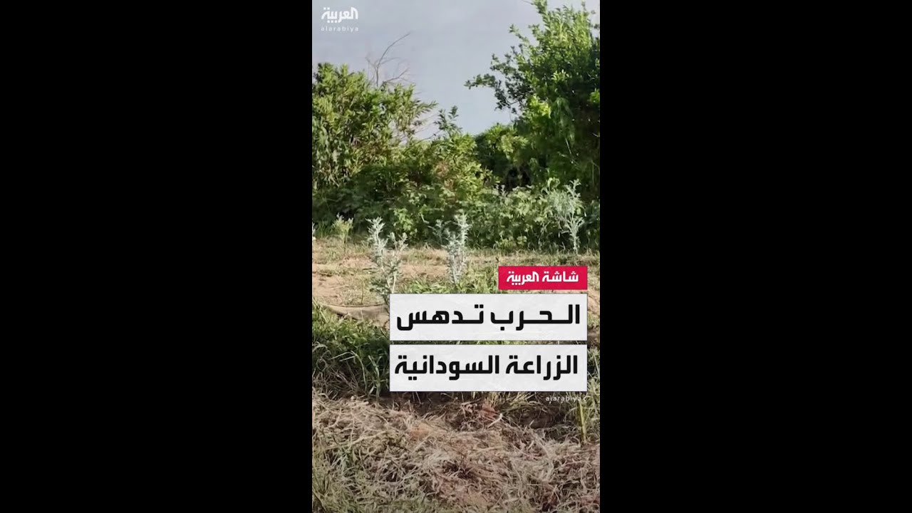 من ارتفاع أسعار الوقود إلى نقص البذور والأسمدة.. الحرب ترفع تكاليف الزراعة في السودان