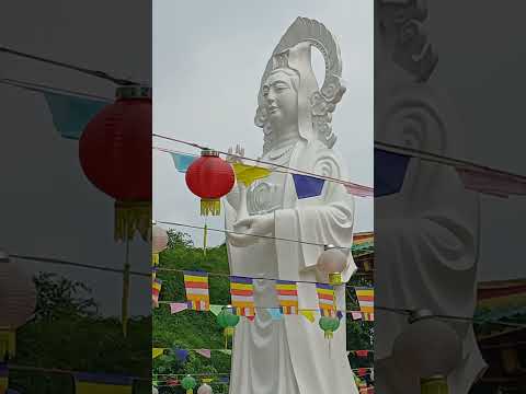 chùa Hoa Quận8,HCM. #phongthuy #loivangphatdaythichphaphoa #nhachaymoingay