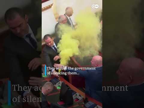 Smoke bombs set off in Albania's Parliament | DW News