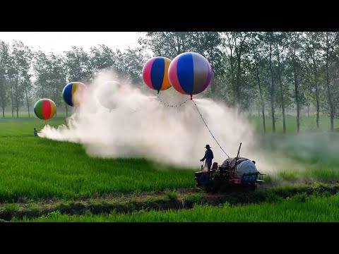 Hydrogen balloons deployed to spray agrichemicals on rice fields