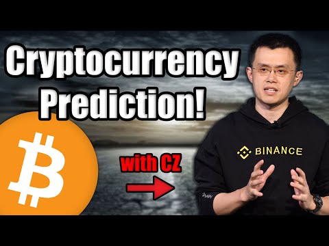 Cryptocurrency Billionaire Reveals Bitcoin Predictions for the 2020 Decade | CZ Binance Interview