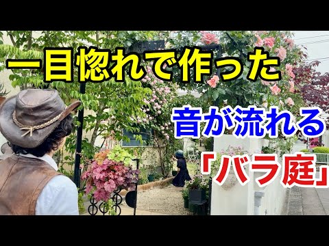 この商品が庭を変えた バラと音に惚れ込んだ香川の素敵な個人庭 【カーメン君】【園芸】【ガーデニング】【みすずさん】