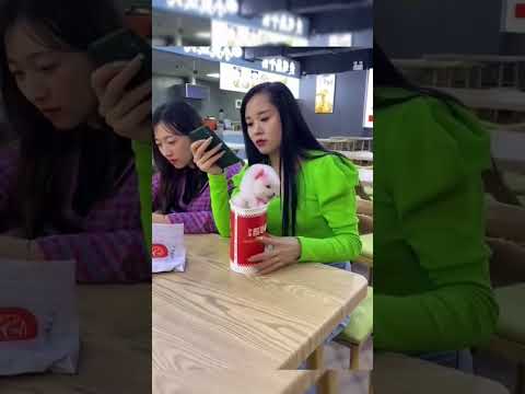 #All My Pets, One Big Hug#Caught with a Handful of Happiness#Fluffy Squad Goals#cute#tending#shorts