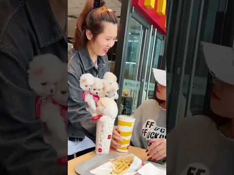 #All My Pets, One Big Hug#Caught with a Handful of Happiness#Fluffy Squad Goals#caught#fluffy