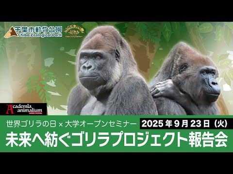 2025年9月23日（火祝）11:00 講演会「未来へ紡ぐゴリラプロジェクト報告会」