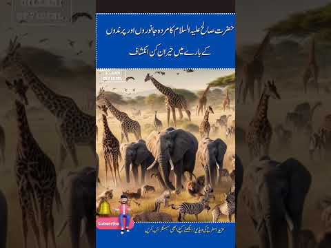 Prindy aur janwar marny k bad khan jaty hain, #short #feed #GillaniOfficial #4kvideo